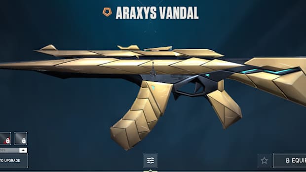 araxys vandal skin valorant